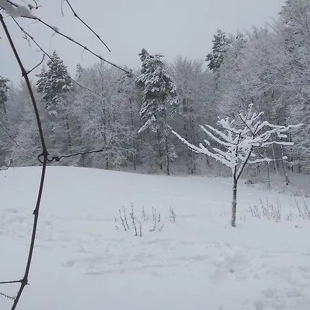 Agroturystyka Czarna Dabrowa Farm stay