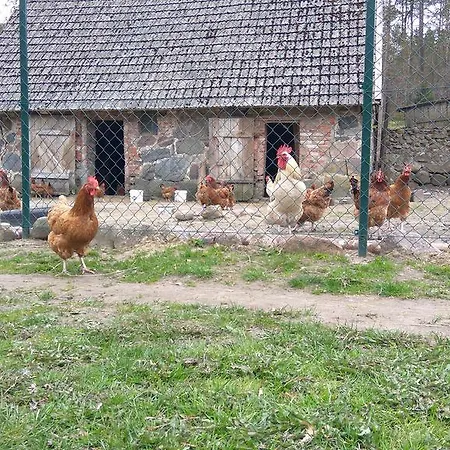 Agroturystyka Czarna Dabrowa Farm stay