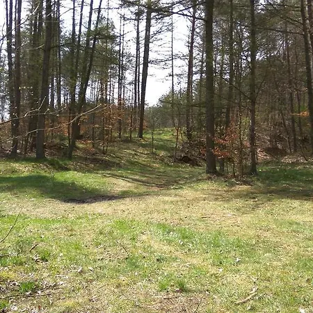 Farm stay Agroturystyka Czarna Dabrowa *