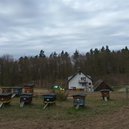 Agroturystyka Czarna Dabrowa