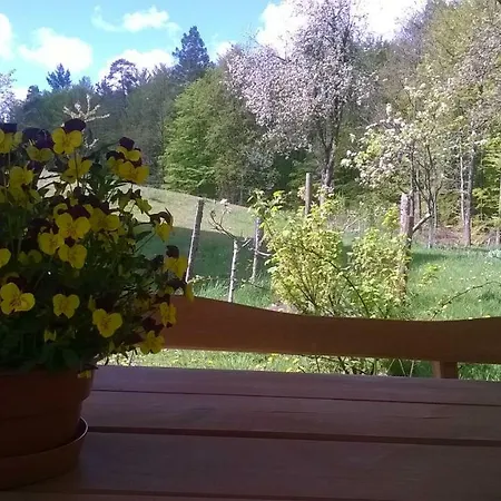 Κατάλυμα σε φάρμα Agroturystyka Czarna Dabrowa